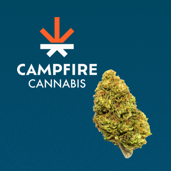 Poison Gushers Campfire Cannabis Poison Gushers Campfire Cannabis