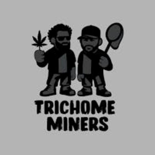 Trichome Minors Papaya Mon Concentrate Solventless Team Elite Genetics Trichome Minors Papaya Mon Concentrate Solventless Team Elite Genetics