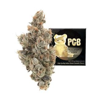 PGB Team Elite Genetics