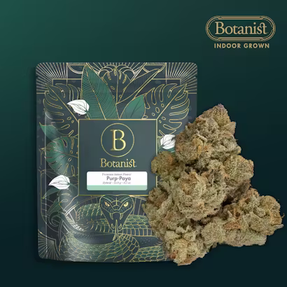 Purp Papaya  The Botanist