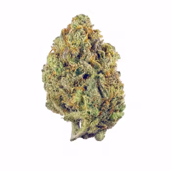 Super Lemon Haze  Glass Meadows