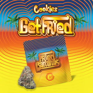 Cannabis Promo, Cannabis Sales, Cannabis Discounts, Cannabis on Sale, Terrascend 20% Off 2