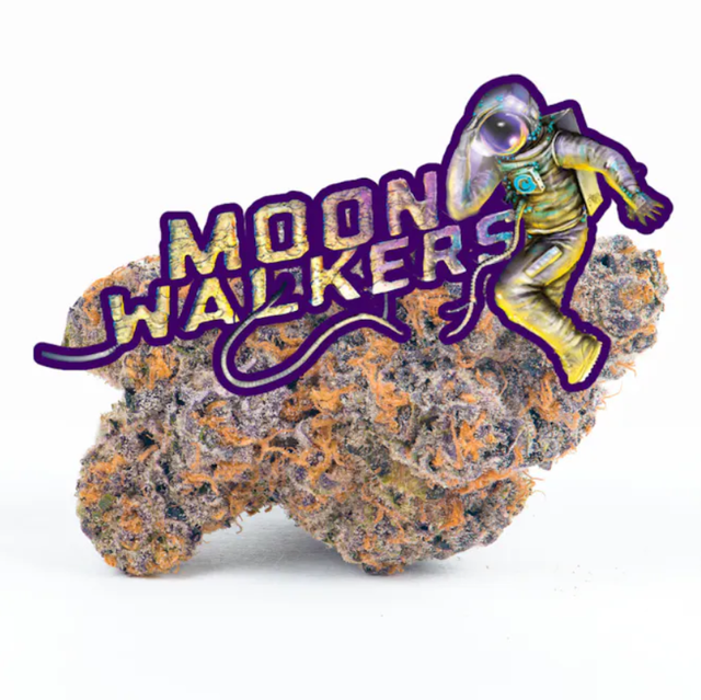 Moonwalkers Cookies Moonwalkers Cookies