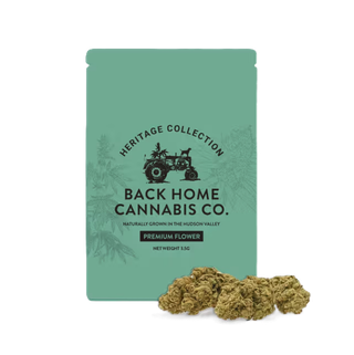 Back Home Jack Herer Back Home Cannabis