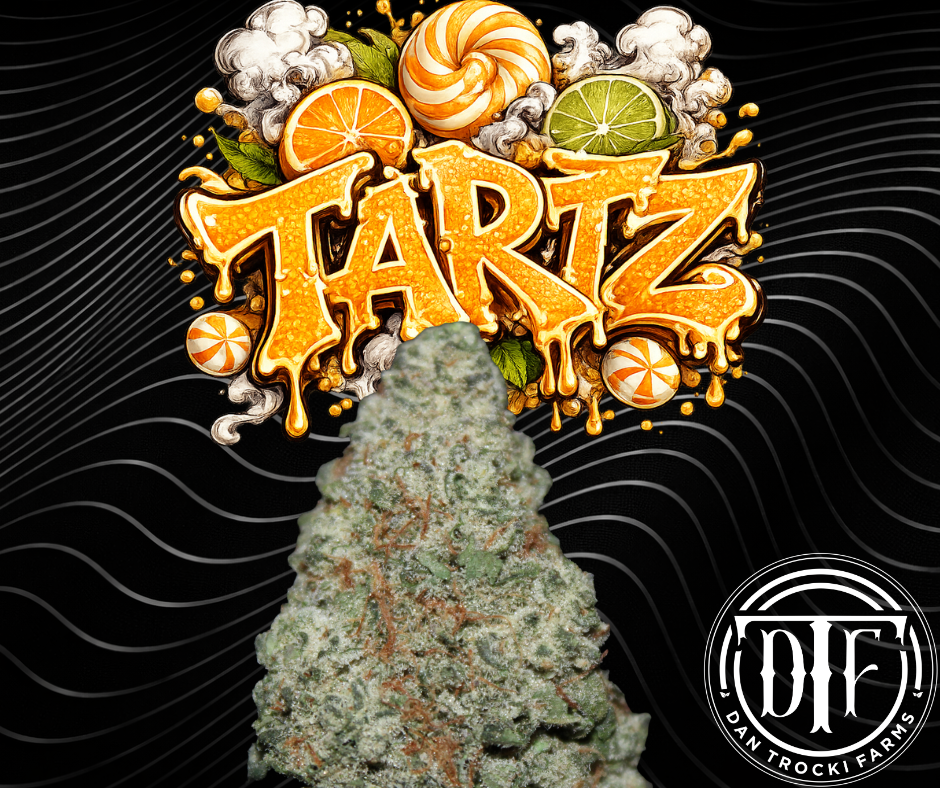 Tartz