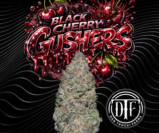 Black Cherry Gushers (High CBD Low THC) DTF