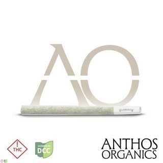 **REC ONLY** Double OG Chem Anthos