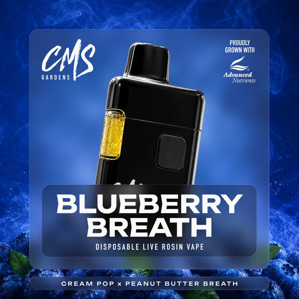cms gardens disposable vape New Cannabis Drops — Rhode Island Dispensaries Flavor:Fragrant Burst flavor beast High-Quality Vapes Online in
