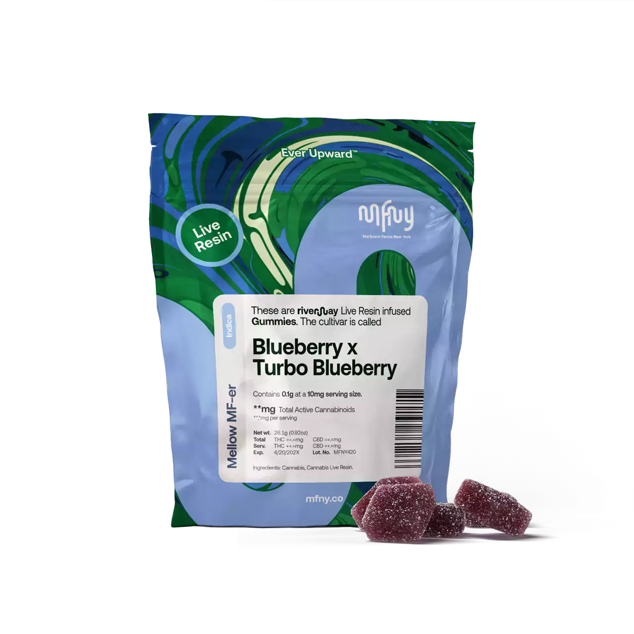 Blueberry x Turbo Blueberry MFNY