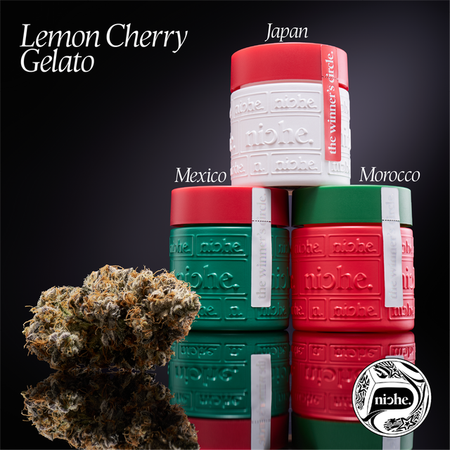 Lemon Cherry Gelato Niche Lemon Cherry Gelato Niche