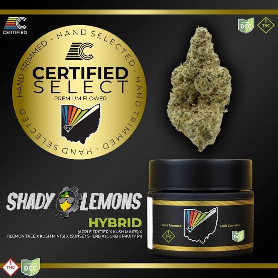 Shady Lemons Certified Shady Lemons Certified