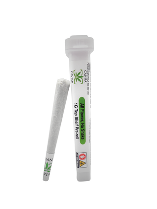 Bob Hope Canna Caviar