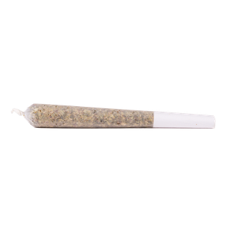 Lemon City Diesel Roadie