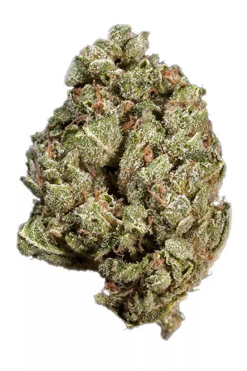 DNA GENETICS - SOUR OG - (h) REDEMPTION BOTANICALS