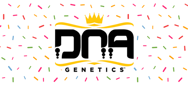 DNA Genetics - Sour OG Redemption Botanicles