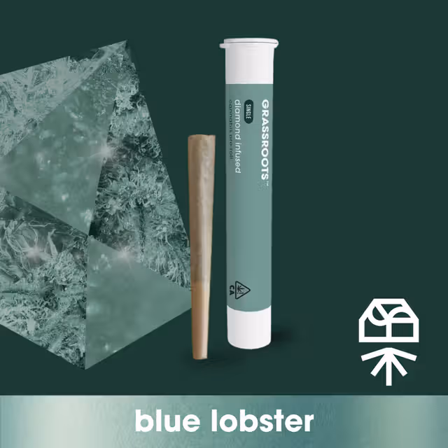 BLUE LOBSTER - (h) Grassroots