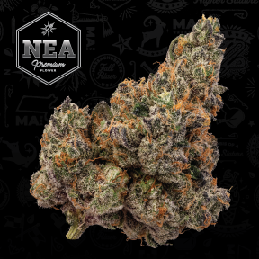 Apple Fritter