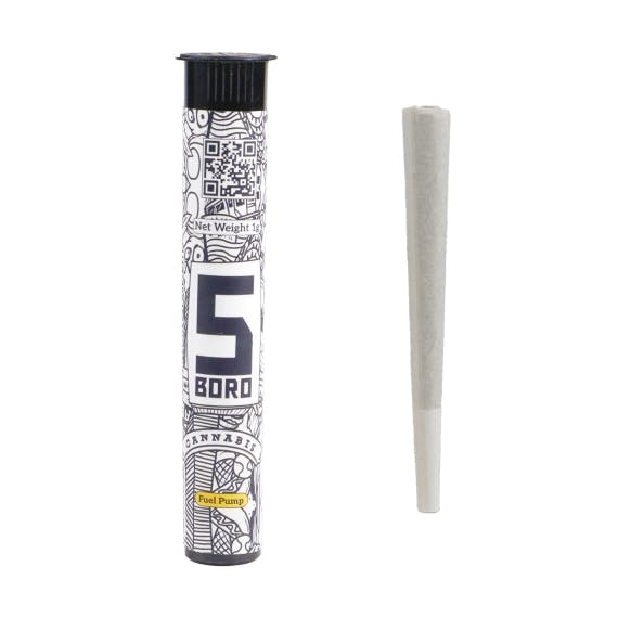 5 Boro: Fuel Pump