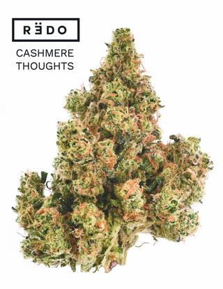 Cashmere Thoughts Redo