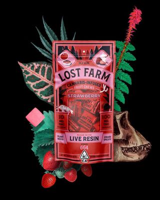LOST FARMS - STRAWBERRY - (h) Cresco