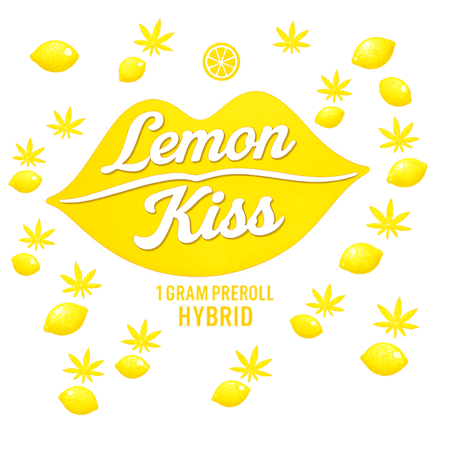 Lemon Kiss Akron Bloom