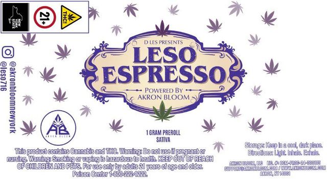 Leso Espresso Akron Bloom