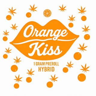 Orange Kiss Akron Bloom