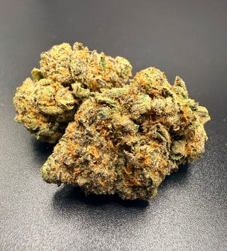Divine Kush Breath Options Grow