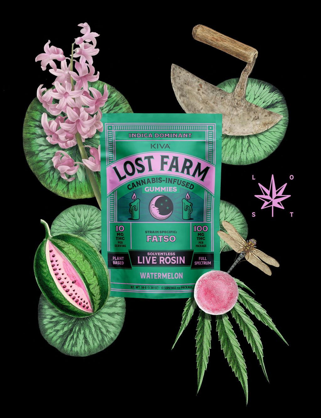 Lost Farm Watermelon x Fatso Gel-based 100mg, 10pk