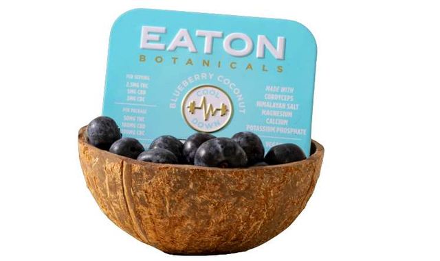 Cool Down | Blueberry Coconut Eaton Botanicals