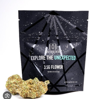 Lilac Diesel Anthologie