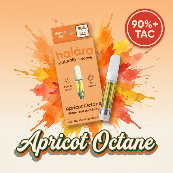 Apricot Octane Halara