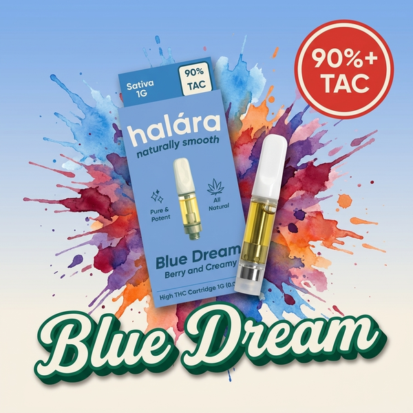 Blue Dream Halara