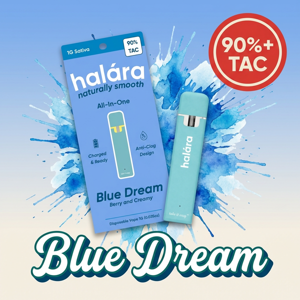 Blue Dream Halara