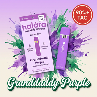 Grand Daddy Purple Halara