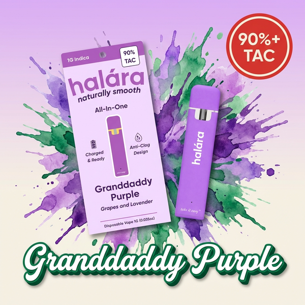 Grand Daddy Purple Halara