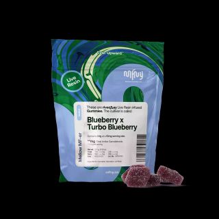 Blueberry x Turbo Blueberry MFNY