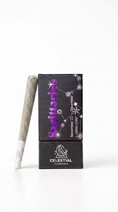 Celestial Sagittarius Preroll 1g