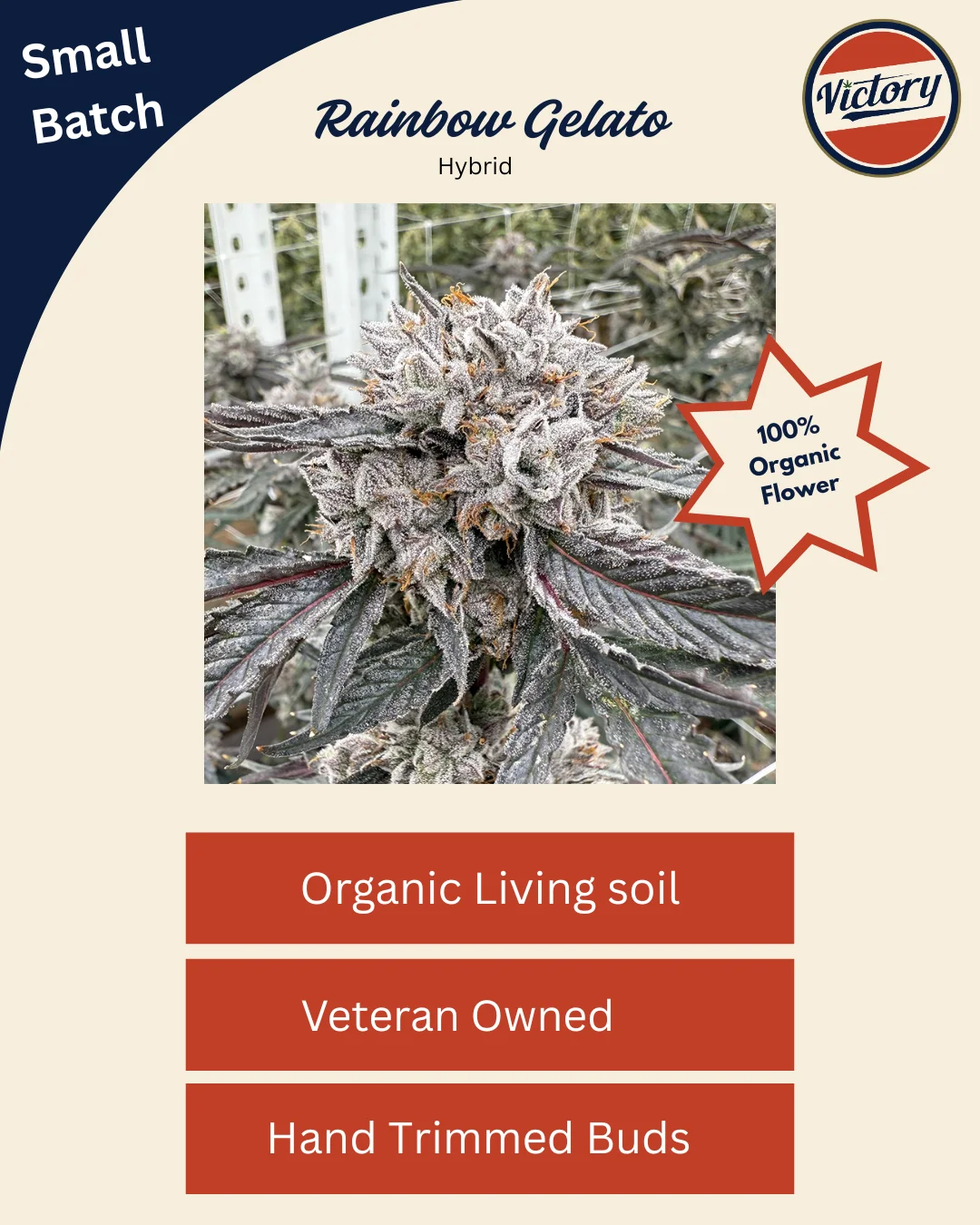 Rainbow Gelato | Victory Natural Farms Rainbow Gelato | Victory Natural Farms