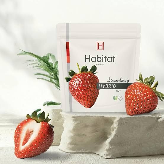 Strawberry Habitat by Klutch