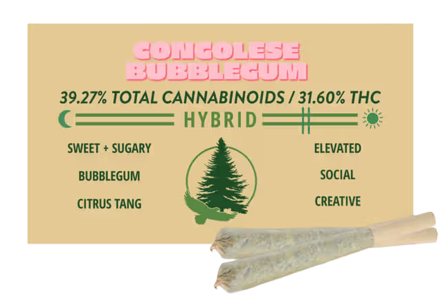 Congolese Bubblegum 2Js