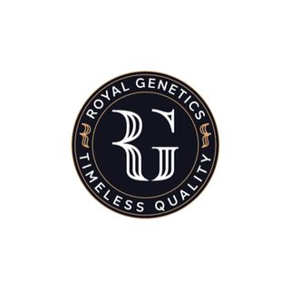 Cannabis Promo, Cannabis Sales, Cannabis Discounts, Cannabis on Sale, Royal Genetics 3