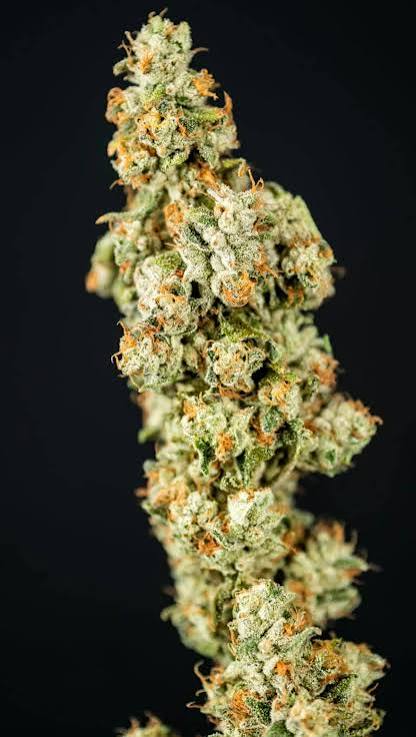 Pantheon Gas Basket Whole Buds 3.5g