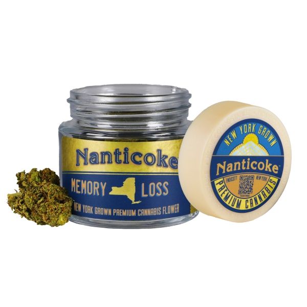 Memory Loss Nanticoke