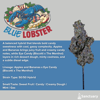 Blue Lobster Sanctuary