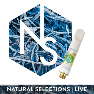 Orange Crasher Natural Selections