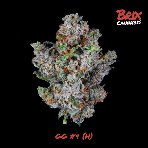 GG4