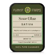 Sour Glue  Florist Farms