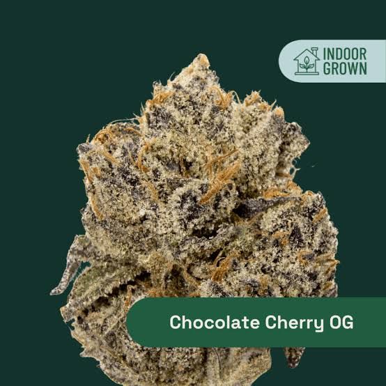 Chocolate Cherry OG Botanist
