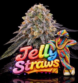 Jelly Straws Greater Goods